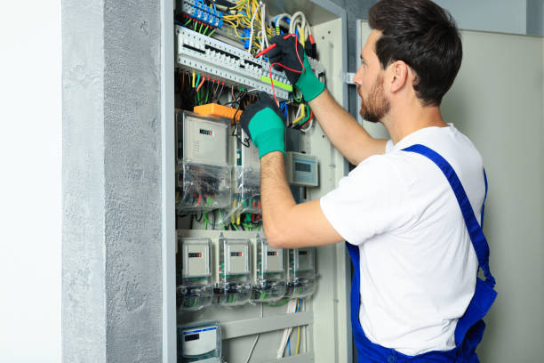Best Local Electrician Companies  in Shelbyvle, IL