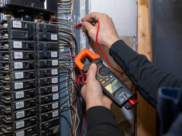 Best Electrical Repair Services  in Shelbyvle, IL